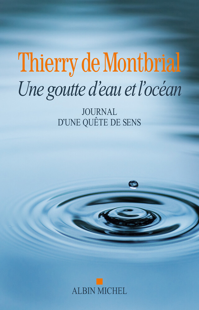 La Goutte d'eau et l'océan - Thierry de Montbrial - Albin Michel
