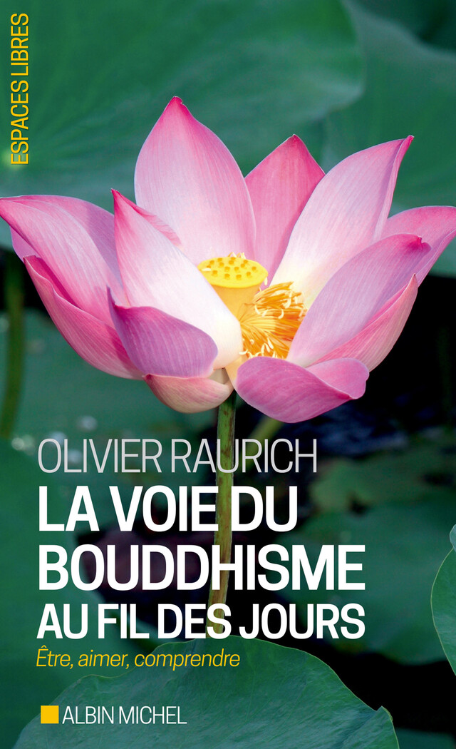La Voie du bouddhisme au fil des jours - Olivier Raurich - Albin Michel
