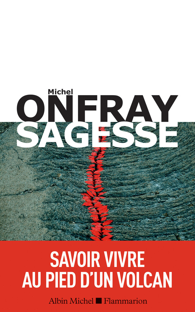 Sagesse - Michel Onfray - Albin Michel