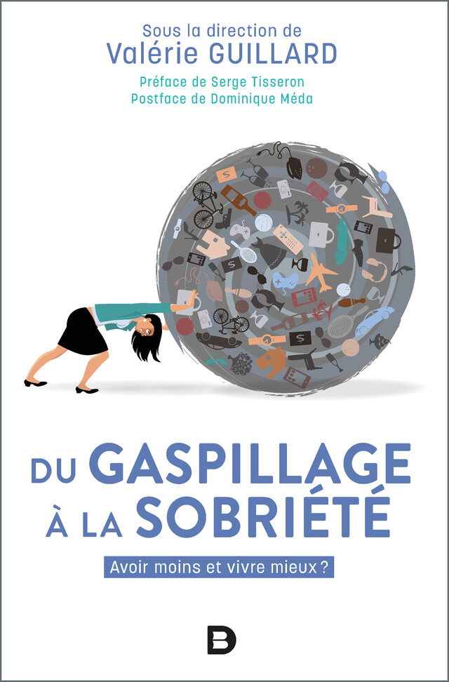 Du gaspillage à la sobriété : Avoir moins et vivre mieux ? - Valérie Guillard, Dominique Meda - De Boeck Supérieur