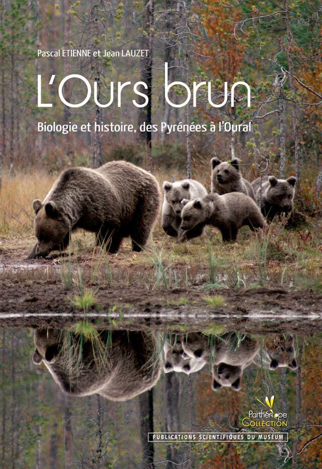 L’Ours brun - Pascal Etienne, Jean Lauzet - BIOTOPE