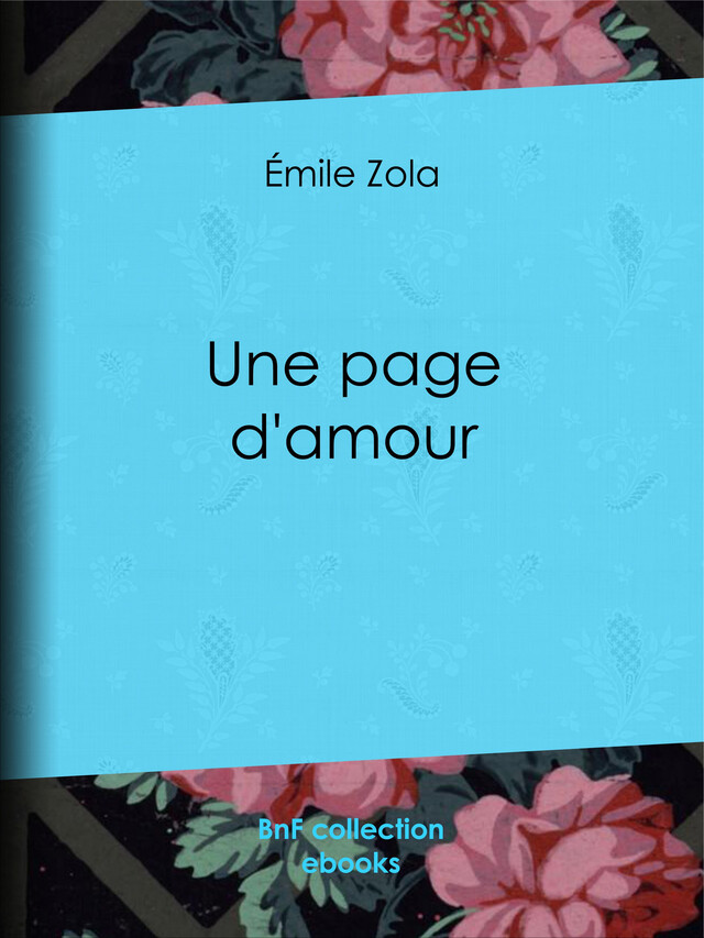Une page d'amour - Émile Zola - BnF collection ebooks