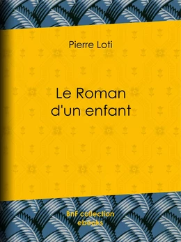 Le Roman d'un enfant