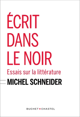 Écrit dans le noir. Essais sur la littérature