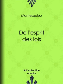 De l'esprit des lois