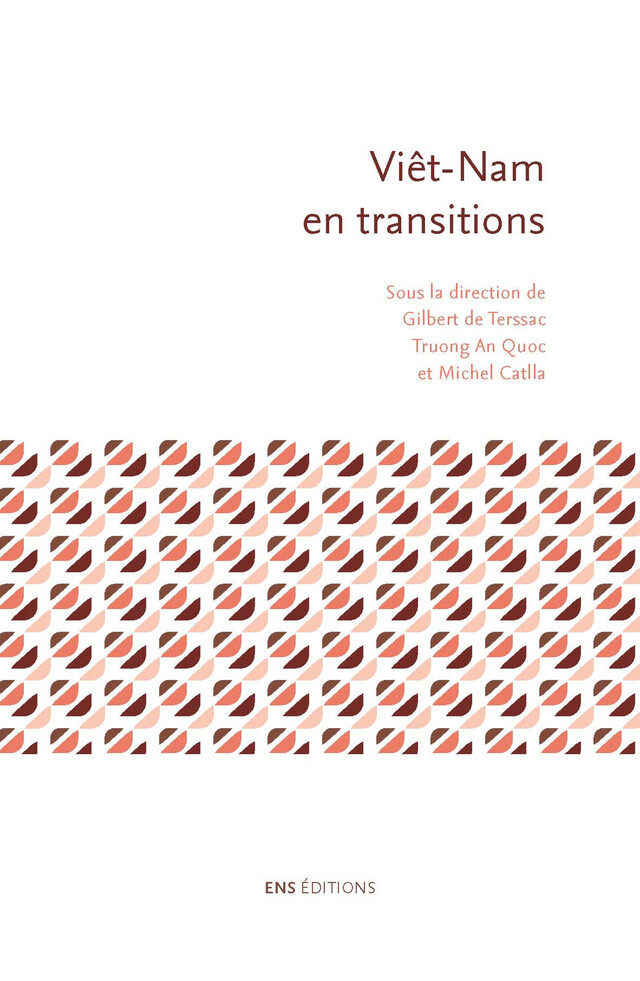 Viêt-Nam en transitions -  - ENS Éditions