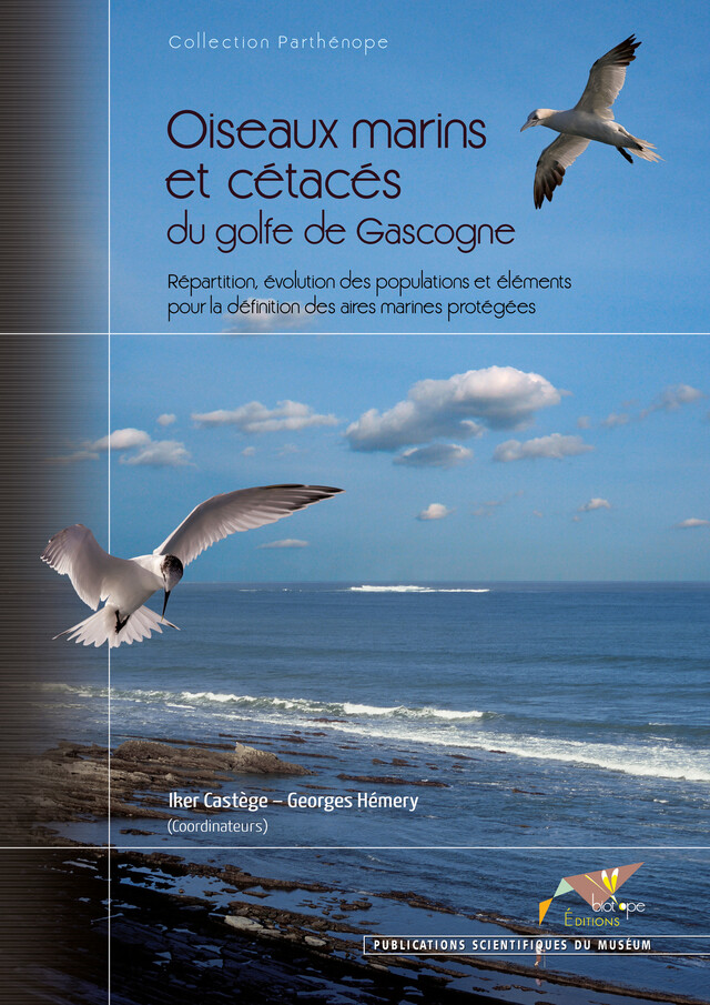 Oiseaux marins et cétacés du golfe de Gascogne - Iker Castege, Georges Hemery - BIOTOPE