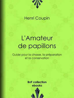 L'Amateur de papillons