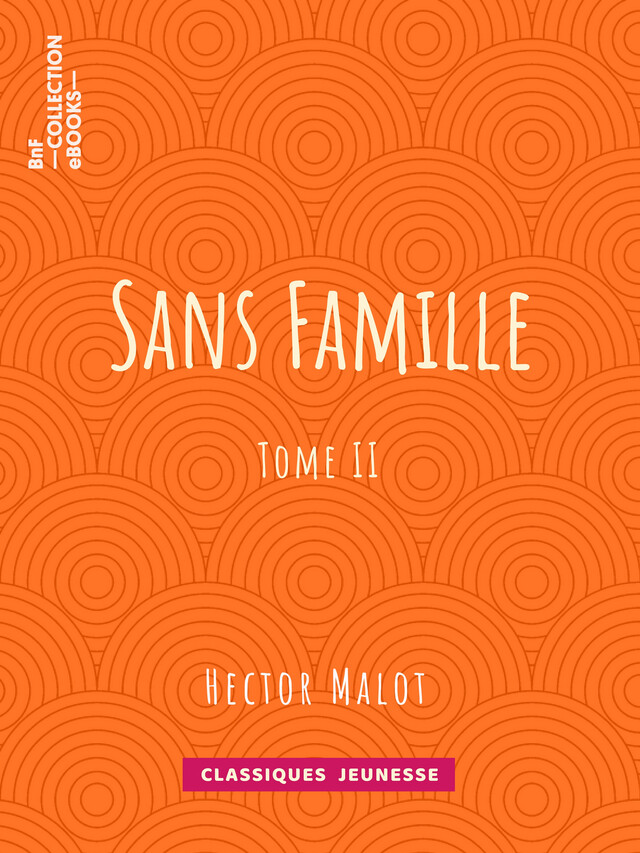 Sans famille - Hector Malot - BnF collection ebooks