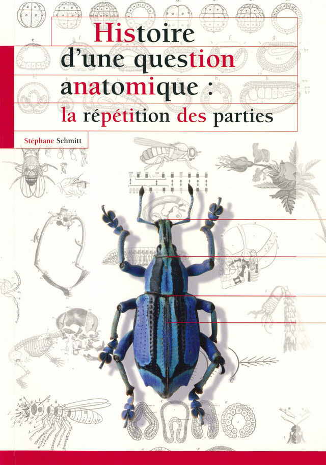 Histoire d’une question anatomique - Stéphane Schmitt - Publications scientifiques du Muséum