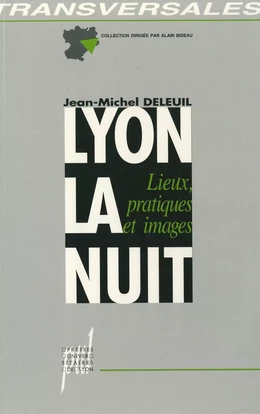 Lyon la nuit