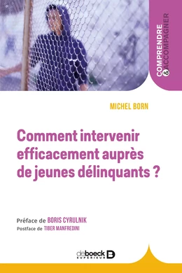 Comment intervenir efficacement auprès de jeunes délinquants ?