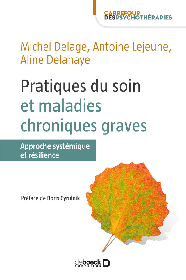 Pratiques du soin et maladies chroniques graves - Michel Delage, Antoine Lejeune, Aline Delahaye - De Boeck Supérieur
