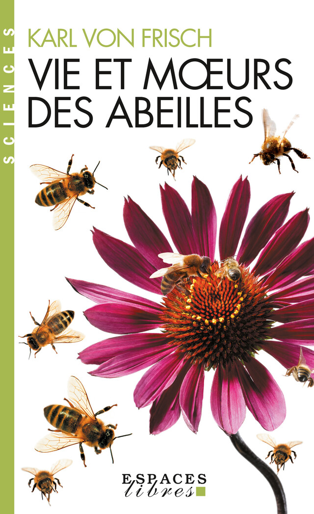 Vie et moeurs des abeilles - Karl von Frisch - Albin Michel