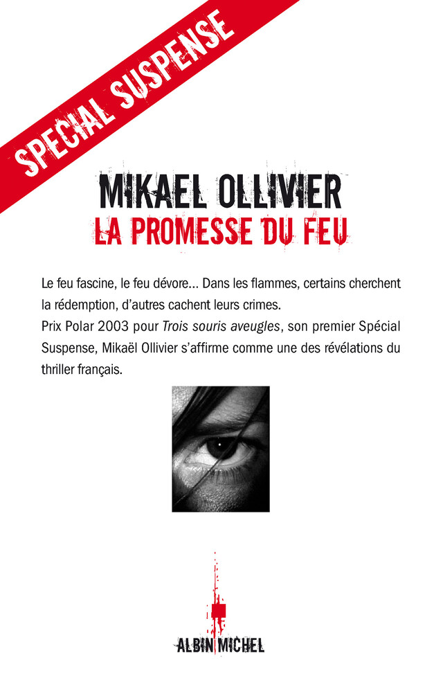 La Promesse du feu - Mikaël Ollivier - Albin Michel