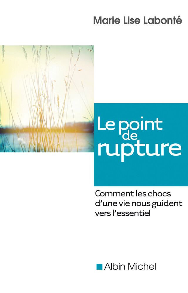 Le Point de rupture - Marie Lise Labonté - Albin Michel