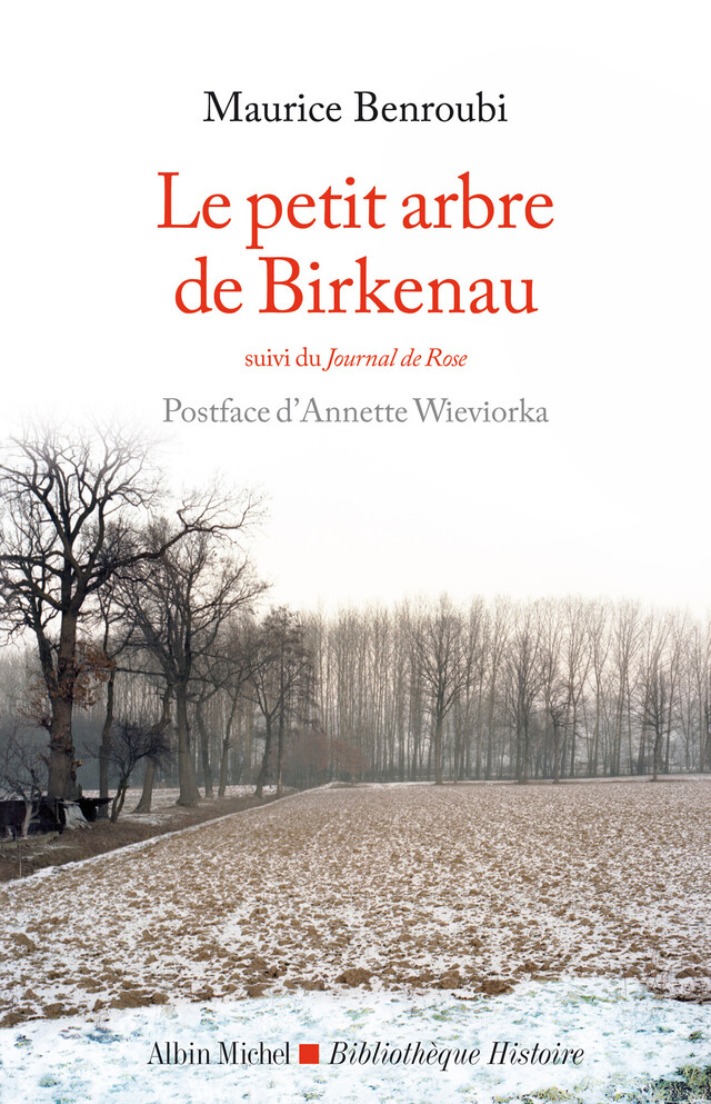 Le Petit Arbre de Birkenau - Maurice Benroubi - Albin Michel