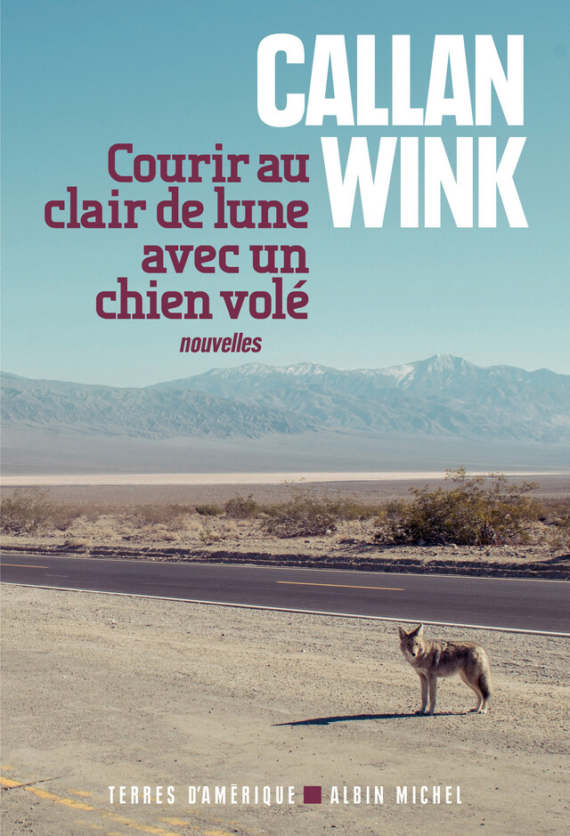 Courir au clair de lune avec un chien volé - Callan Wink - Albin Michel