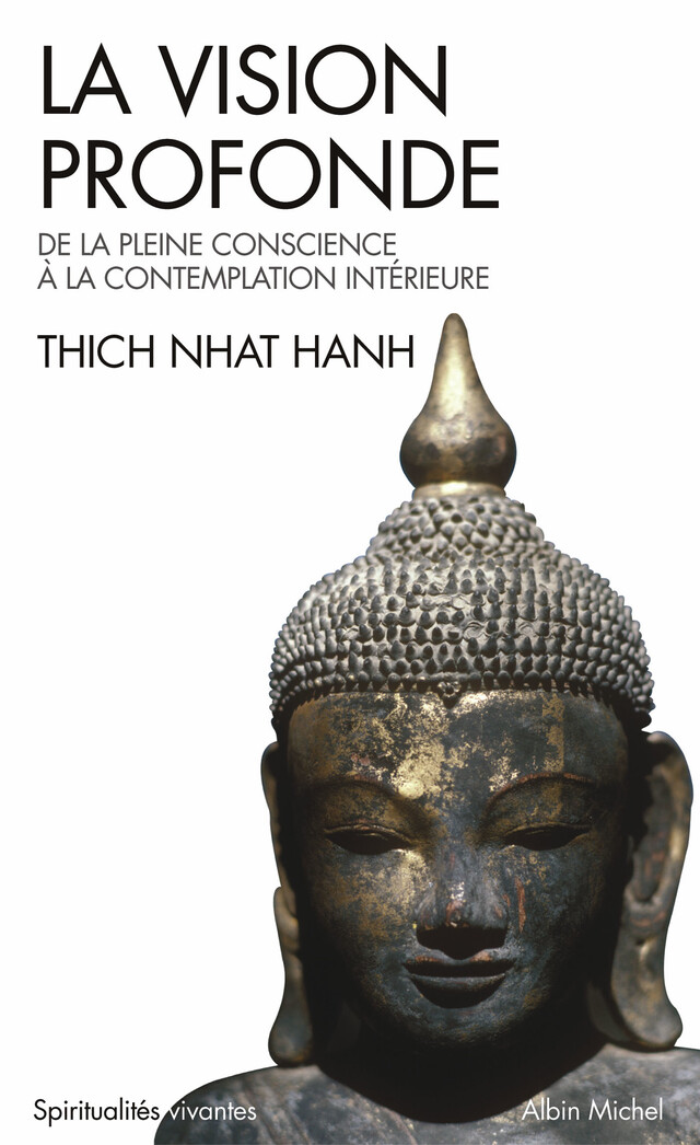 La Vision profonde - Nhat Thich Hanh - Albin Michel