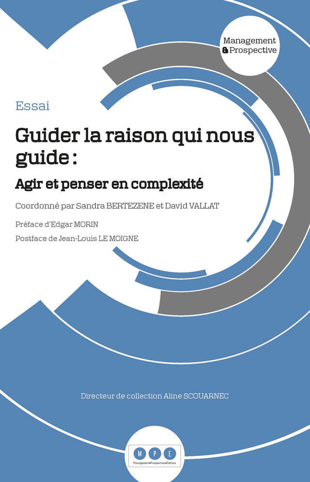 Guider la raison qui nous guide - Sandra Bertezene, David Vallat - Management Prospective Editions