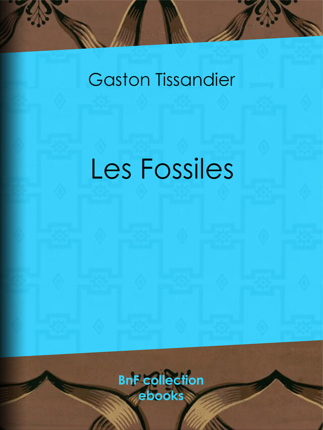 Les Fossiles - Gaston Tissandier,  Collectif - BnF collection ebooks