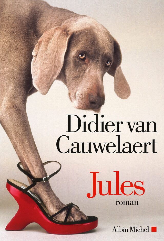 Jules - Didier Van Cauwelaert - Albin Michel