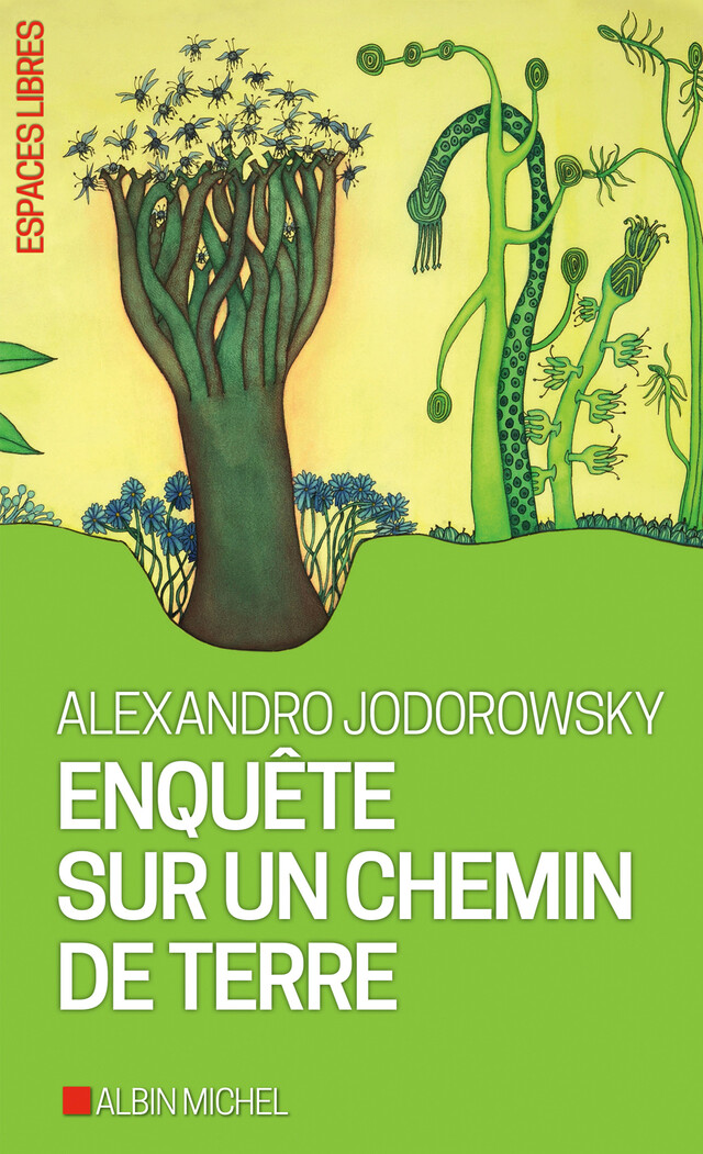 Enquête sur un chemin de terre - Alexandro Jodorowsky - Albin Michel