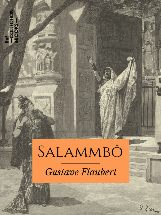 Salammbô - Gustave Flaubert - BnF collection ebooks