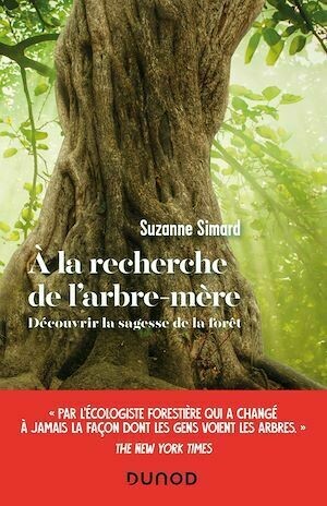 A la recherche de l'arbre-mère - Suzanne Simard - Dunod