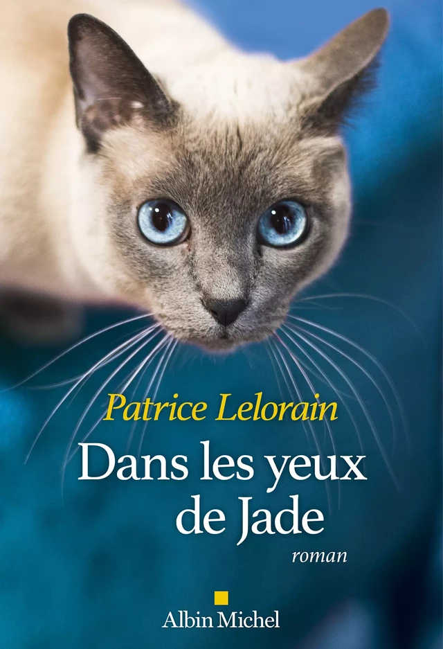 Dans les yeux de Jade - Patrice Lelorain - Albin Michel