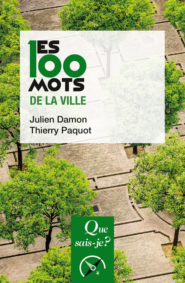Les 100 mots de la ville - Julien DAMON, Thierry Paquot - Que sais-je ?