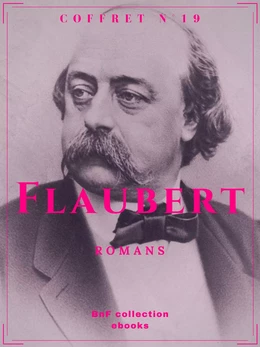 Coffret Flaubert