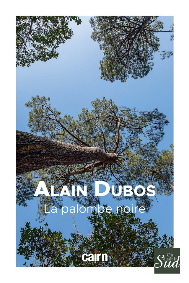 La Palombe noire - Alain Dubos - Cairn