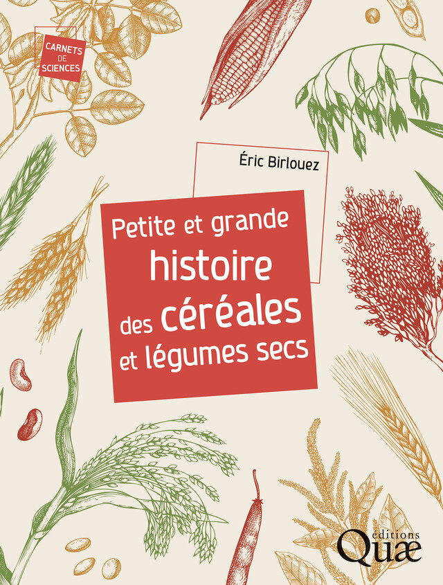 Petite et grande histoire des céréales et légumes secs - Éric Birlouez - Quæ