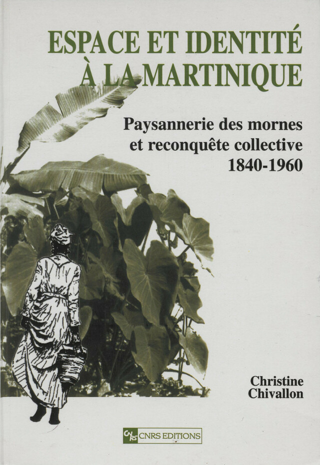 Espace et identité à la Martinique - Christine Chivallon - CNRS Éditions via OpenEdition