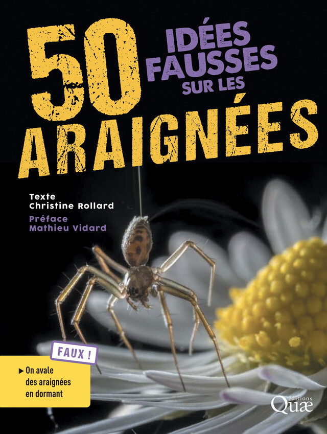50 idées fausses sur les araignées - Christine Rollard - Quæ