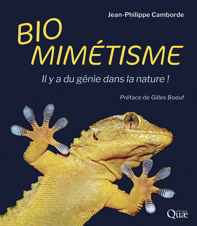 Biomimétisme - Jean-Philippe Camborde - Quæ