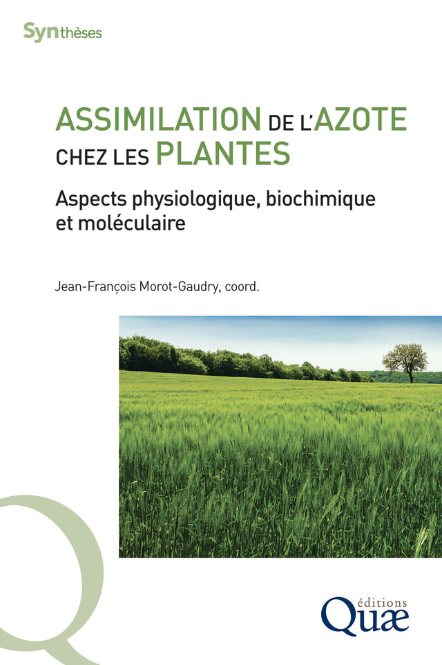 Assimilation de l'azote chez les plantes - Jean-François Morot-Gaudry - Quæ