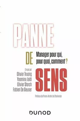 Panne de sens