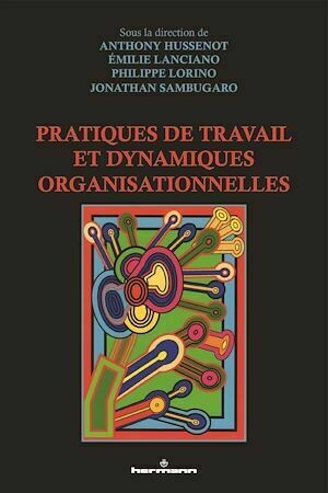 Pratiques de travail et dynamiques organisationnelles - Philippe Lorino, Anthony Hussenot, Emilie Lanciano, Jonathan Sambugaro - Hermann