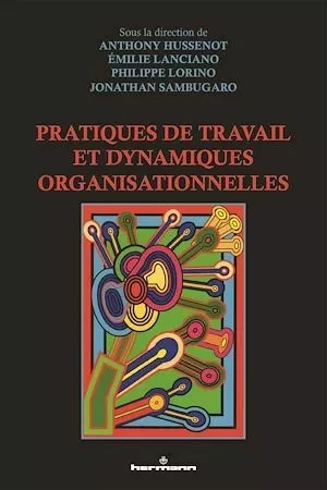 Pratiques de travail et dynamiques organisationnelles - Philippe Messine, Anthony Hussenot, Émilie Lanciano, Jonathan Sambugaro - Hermann