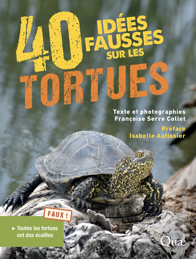 40 idées fausses sur les tortues - Françoise Serre Collet - Quæ