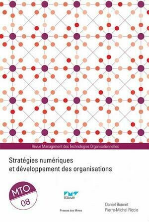 Stratégies numériques et développement des organisations - Pierre-Michel Riccio, Daniel Bonnet - Presses des Mines