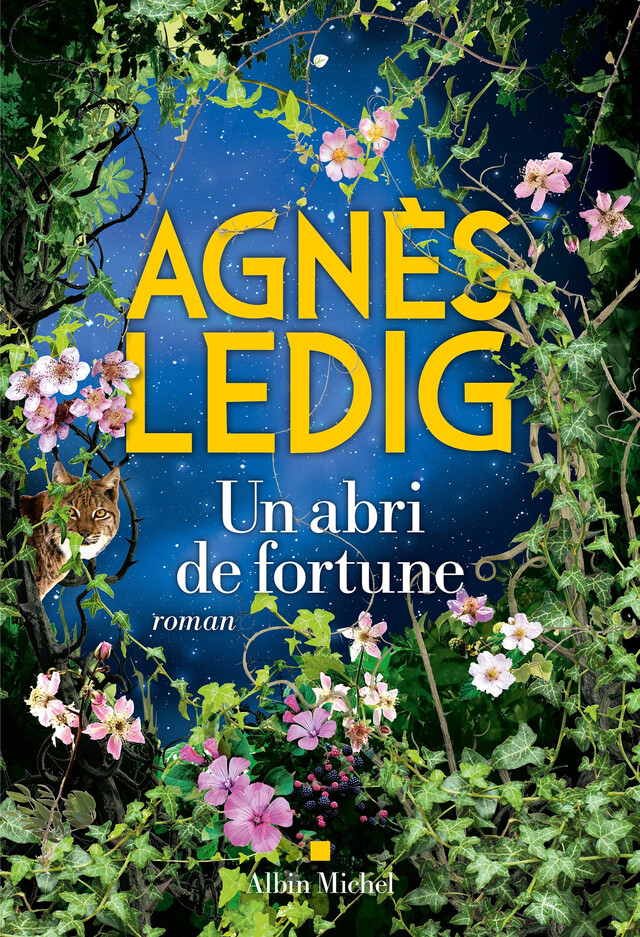 Un abri de fortune - Agnès Ledig - Albin Michel
