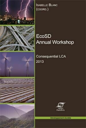 EcoSD Annual Workshop - Isabelle Blanc - Presses des Mines