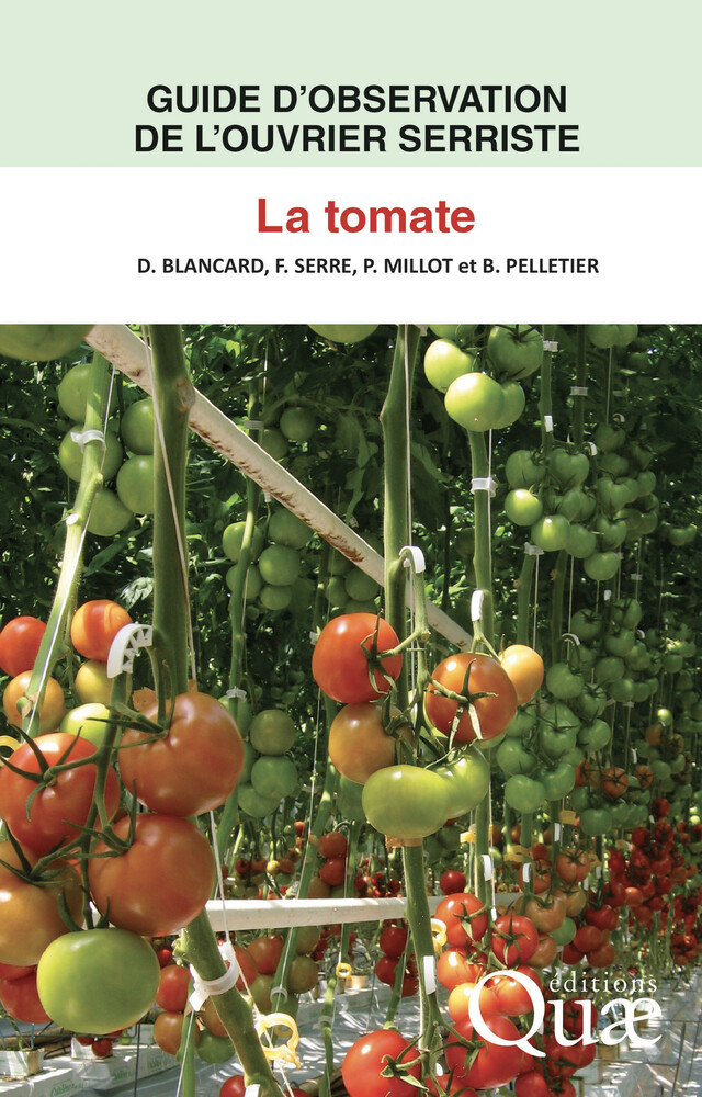 Guide d'observation de l'ouvrier serriste : la tomate - Dominique Blancard, Francis Serre, Pierre Millot, Brigitte Pelletier - Quæ