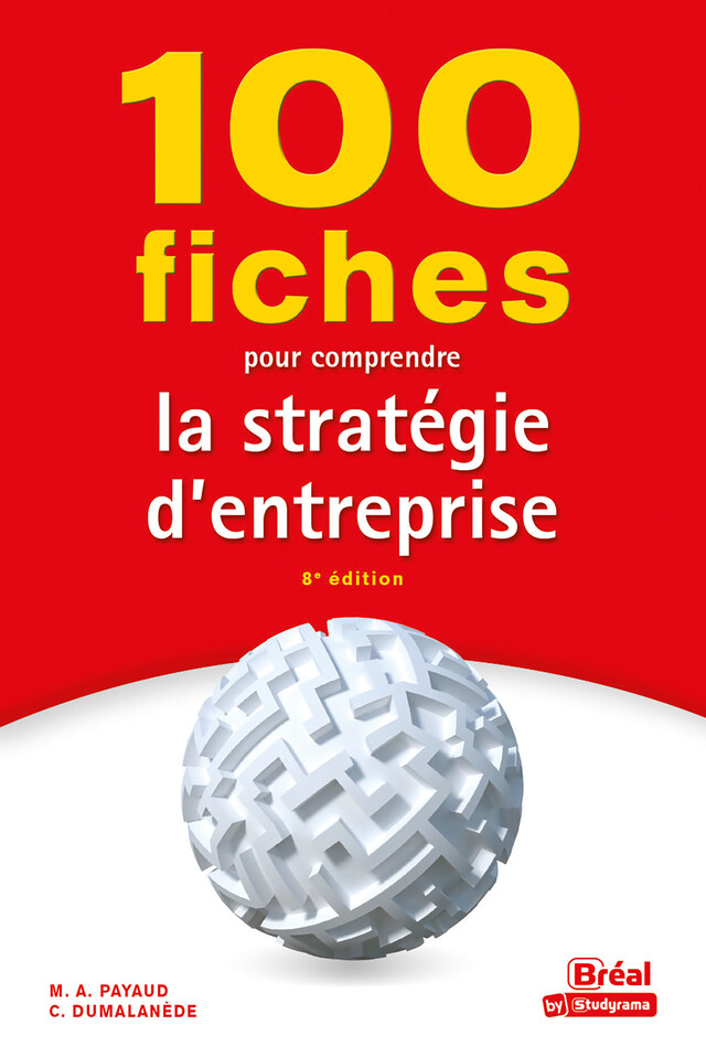 100 fiches pour comprendre la stratégie d'entreprise - Constance Dumalanède, M. A. Payaud, Marielle Audrey PAYAUD - Bréal