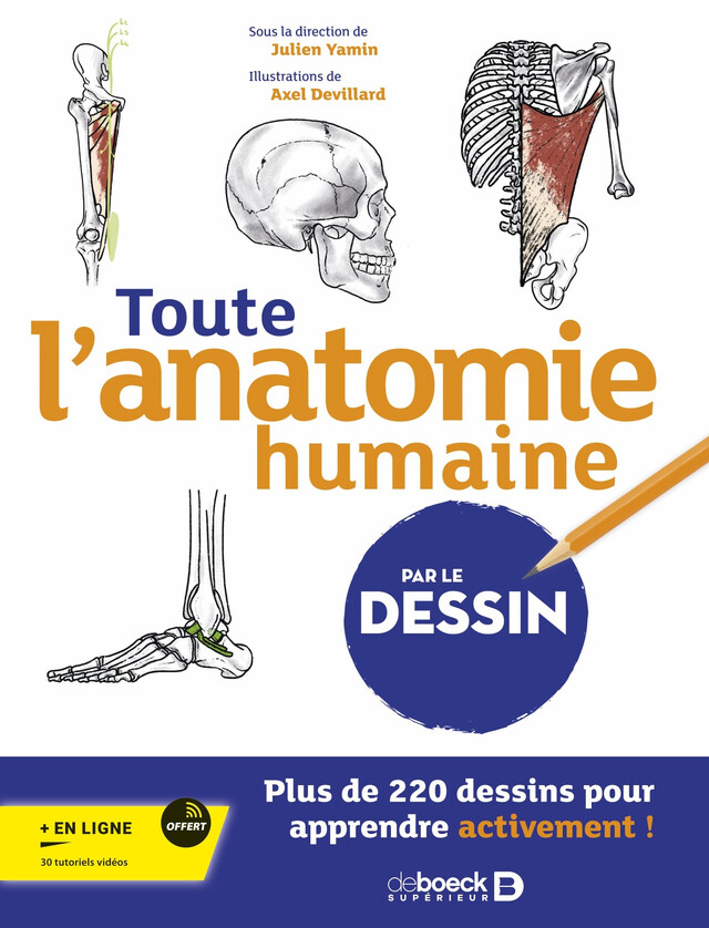 Toute l’anatomie humaine par le dessin - Julien Yamin, Justine Ridoux, Matthieu Magré - De Boeck Supérieur