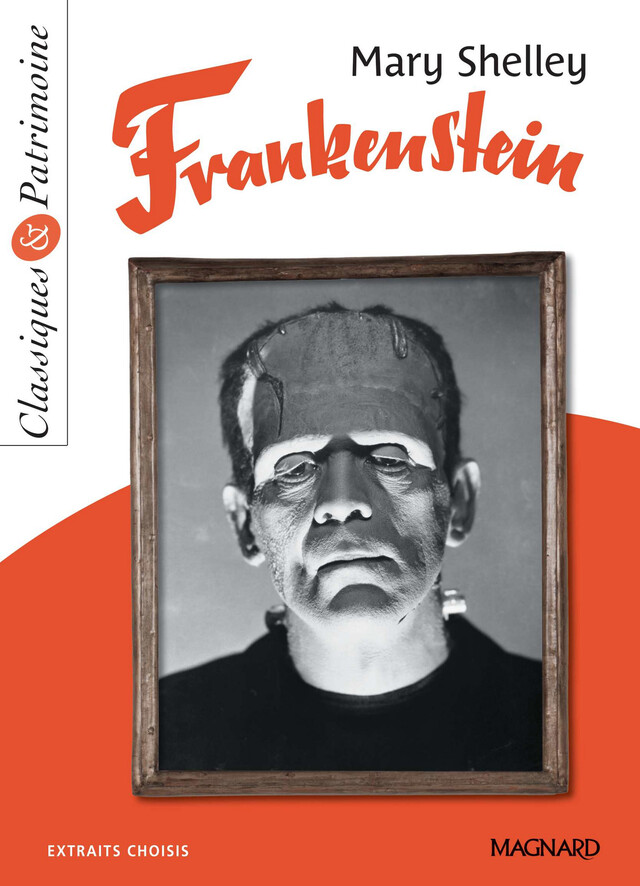 Frankenstein - Classiques et Patrimoine - Mary Shelley, Philippe Tomblaine - Magnard