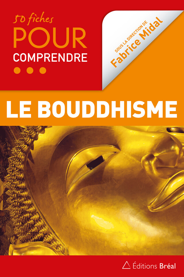 50 fiches pour comprendre le bouddhisme - Philippe Cornu, Philippe Coupey, Alexis Lavis, Fabrice Midal, Matthieu Ricard - Bréal